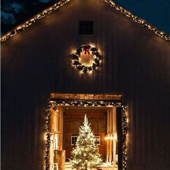 Meet your Posher, Kelly - Picture 4 of 5